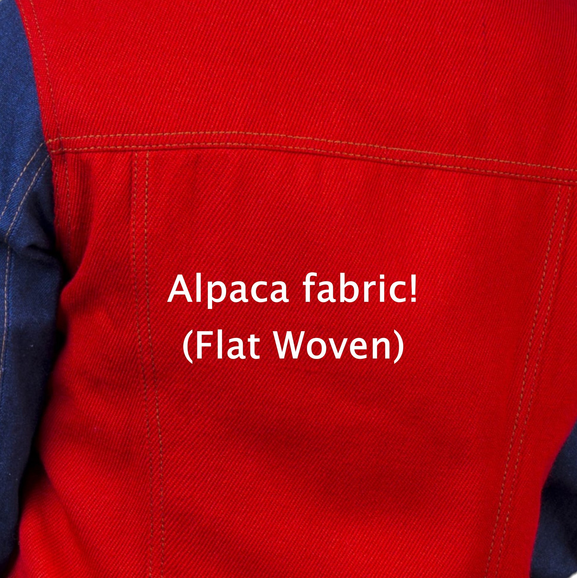 Denim jacket for women with elegant alpaca fabric application.